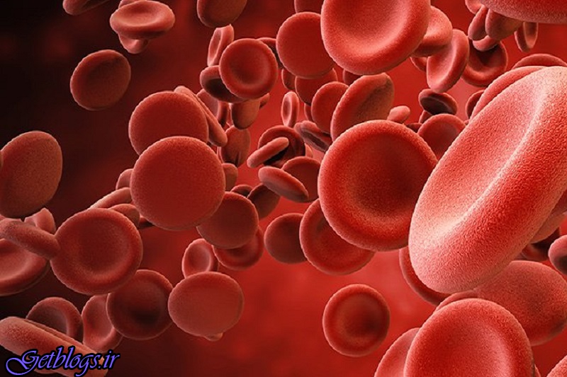 کشف منبع تازه سلول های خونی در بدن