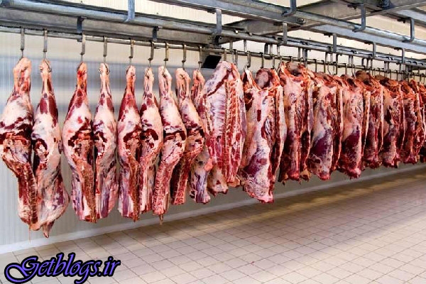 قاچاق دام زنده کنترل شد ، قیمت گوشت گوسفندی به ۶۰ هزارتومان رسید