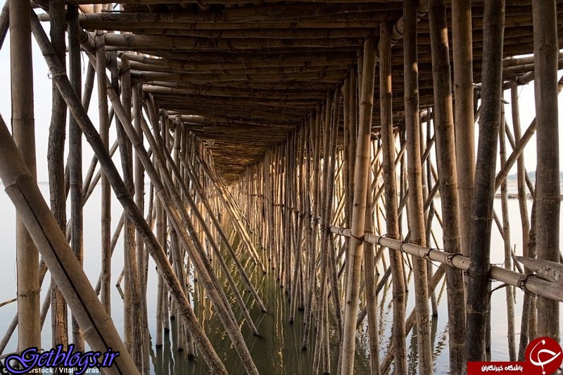 تصاویر ، پلی از گیاه بامبو در کامبوج