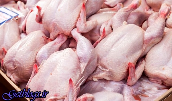 زیاد کردن قیمت مرغ تا 9500 تومان در خرده فروشی‌ها ، قیمت 7500 تومانی مرغ در میدان بهمن