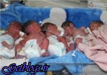 نوزادان ۶ قلو در تبریز متولد شدند