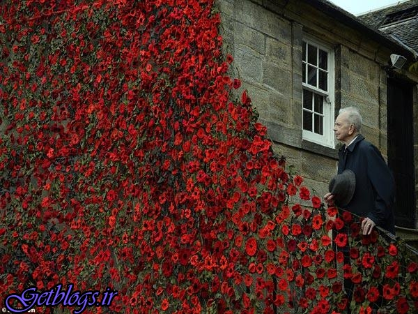 هزاران گل تریکو جهت بزرگداشت قربانیان جنگ جهانی اول