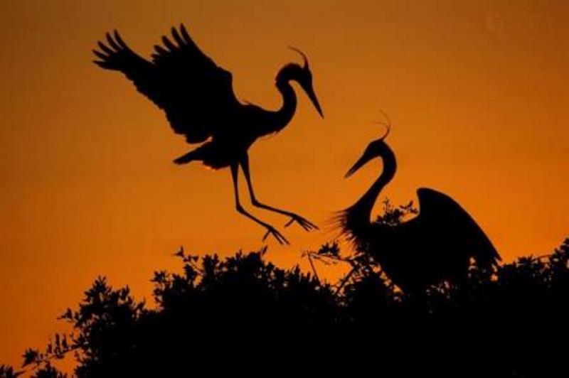 انتخاب - اسنوا سید یدالله موسوی پارسائی support گلستان