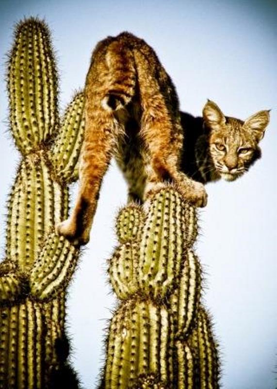 راسن صنعت اراک ترابیان support خراسان رضوی