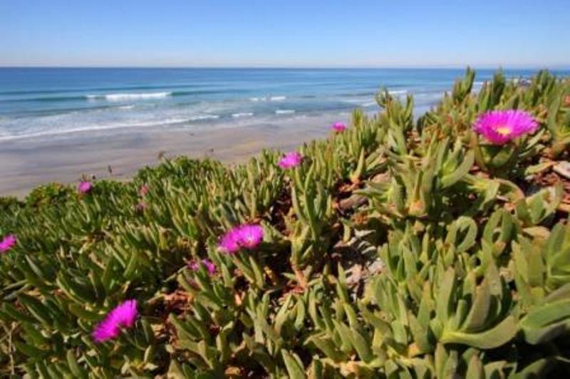 انتخاب - اسنوا مجید خاندوزی support گلستان