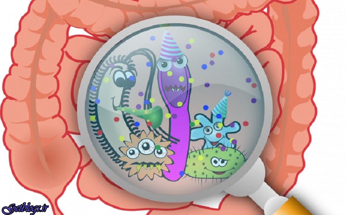 آینده نگری واکنش‌ها میکروب های روده با مدل سازی پویا