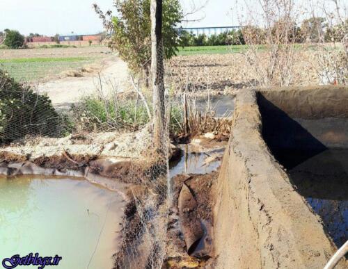 عکس های نفوذِ پسماند پالایشگاه پایتخت کشور عزیزمان ایران به محصولات کشاورزی/ خطر انفجار نفوذِ پسماند پالایشگاه پایتخت کشور عزیزمان ایران به محصولات کشاورزی/ خطر انفجار