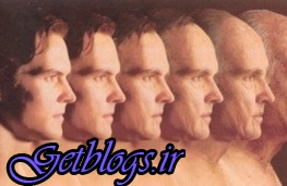 تکنیک تازه ضد پیری که عمر انسان را به ۱۵۰ سال زیاد کردن می‌دهد