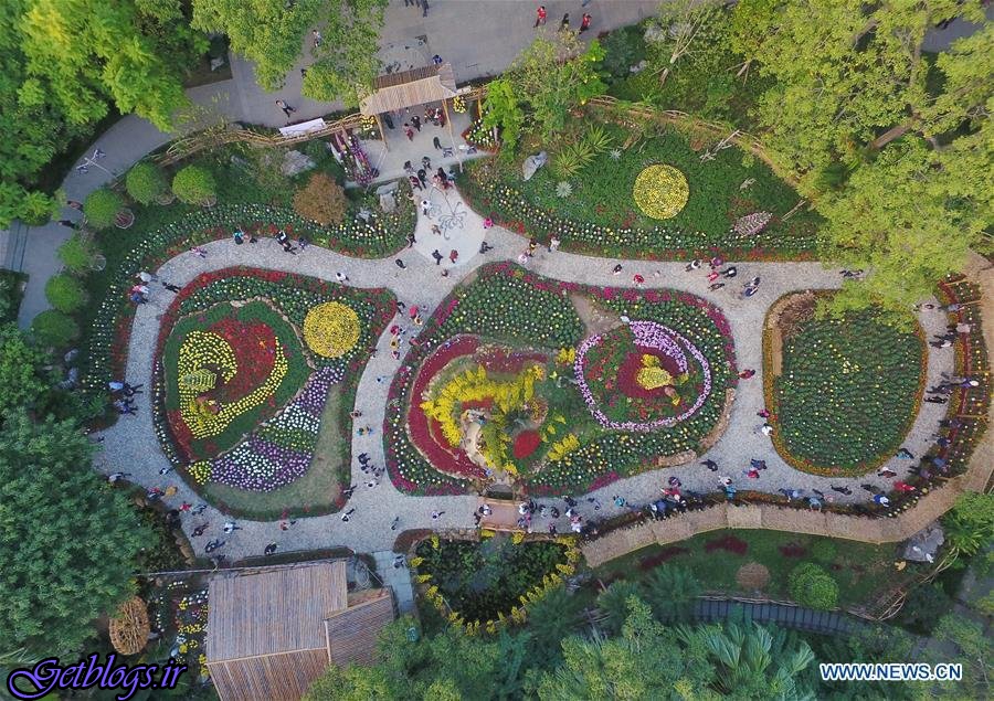 تصویرهای ، نمایشگاه گل‌های داوودی در چین