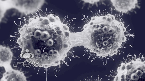 ساخت مولکولی که از تکثیر سلول‌های سرطانی جلوگیری می‌کند