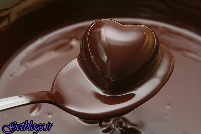 عکس های تلاش دانشمندان جهت جلوگیری از انقراض شکلات تلاش دانشمندان جهت جلوگیری از انقراض شکلات