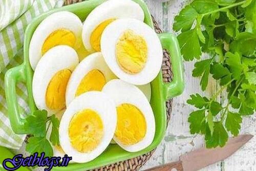 عکس های مصرف تخم مرغ خطر بیماری قلبی عروقی را زیاد کردن نمی دهد مصرف تخم مرغ خطر بیماری قلبی عروقی را زیاد کردن نمی دهد