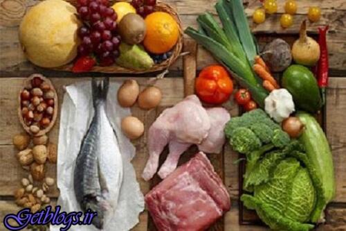 عکس های رژیم غذایی بهتر موجب بزرگ تر شدن مغز می شود رژیم غذایی بهتر موجب بزرگ تر شدن مغز می شود