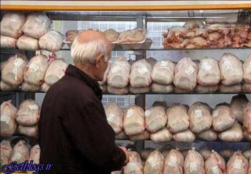 عکس های تعیین قیمت مصوب تازه در جلسه بعدی تنظیم بازار ، ۲۶)، ۰۸، قیمت امروز مرغ (۱۳۹۷ تعیین قیمت مصوب تازه در جلسه بعدی تنظیم بازار ، ۲۶)، ۰۸، قیمت امروز مرغ (۱۳۹۷