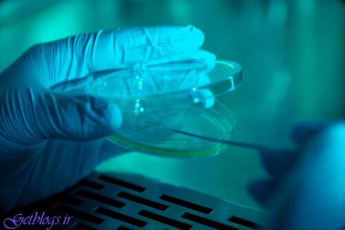 عکس های درمان زخم پای دیابتی در 21 روز درمان زخم پای دیابتی در 21 روز