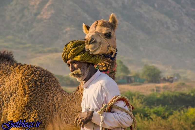 عکس ، دوستی با شتر در تصویر روز نشنال جئوگرافیک