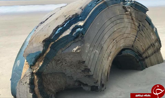 عکس ، کشف یک شی مرموز عجیب در ساحل دریا!