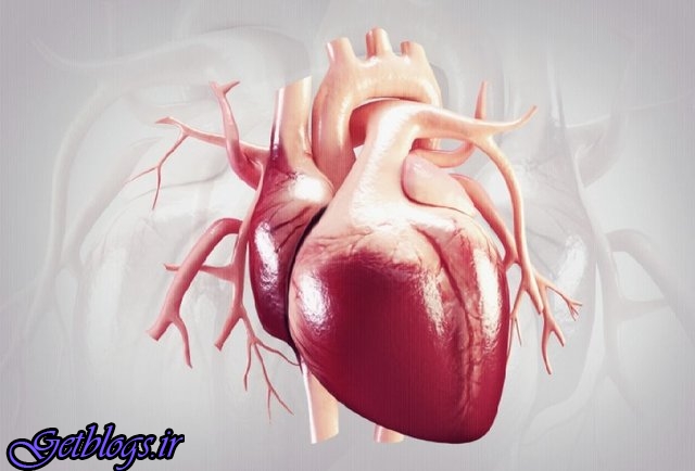 تاثیرات مثبت حمام آب گرم بر سلامت قلب و عروق