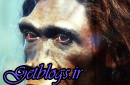 عکس های کدام نژاد از بشر به علت تنبلی منقرض شدند؟ کدام نژاد از بشر به علت تنبلی منقرض شدند؟
