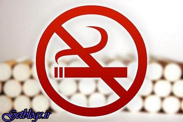 تاثیر مخرب سیگار بر مغز