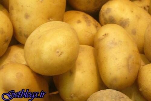 این قسمت سیب زمینی را هرگز نخورید