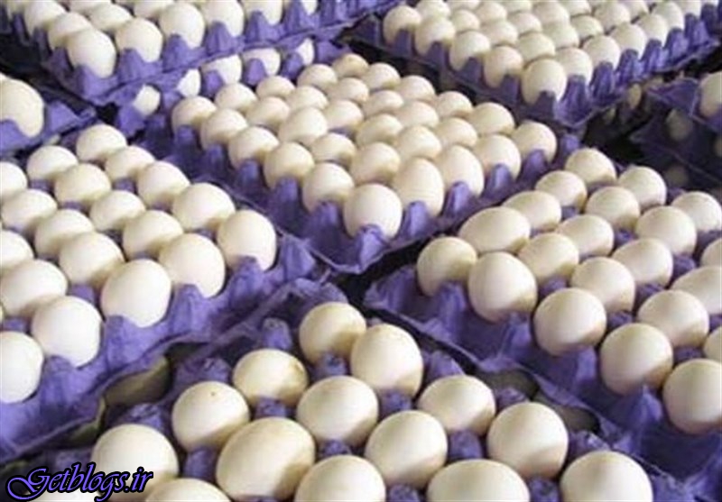 قیمت تخم مرغ رکورد زد