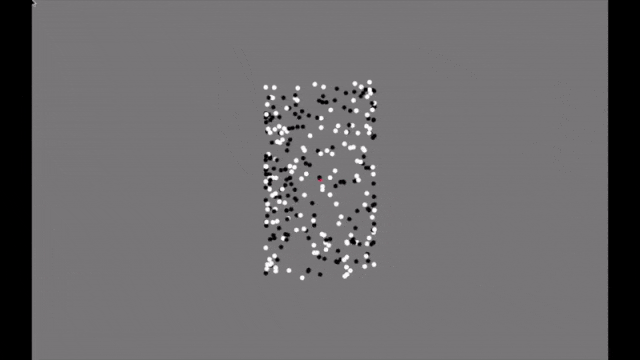 تصویر + شناسایی ویژگی‌های اوتیسم با کمک تصویرهای GIF