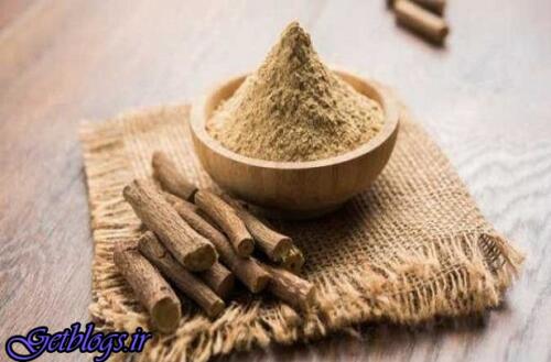 عکس های نقش ریشه شیرین بیان در درمان سرطان پروستات نقش ریشه شیرین بیان در درمان سرطان پروستات